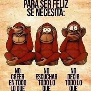 Meet your Posher, Pablo